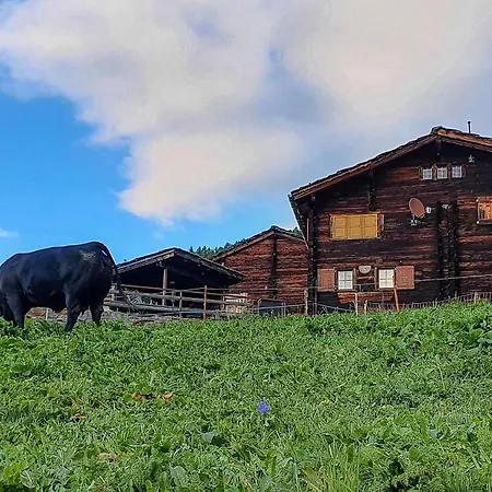 Heimelige In Einem Walliser Haus