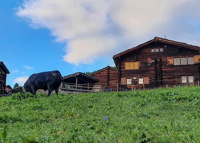 Heimelige In Einem Walliser Haus