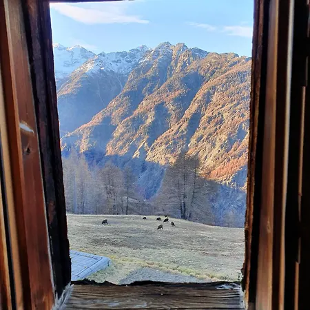 Heimelige In Einem Walliser Haus Apartament Staldenried
